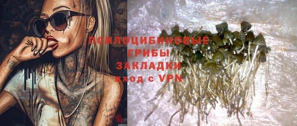 MESCALINE Каменка